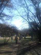 cfa26034.jpg