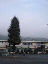 e2f61973.jpg