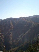 f0c990b3.jpg