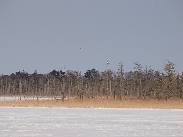P2141573