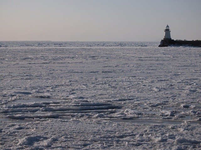 P2131455