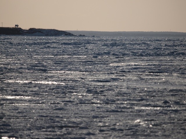 P2131463