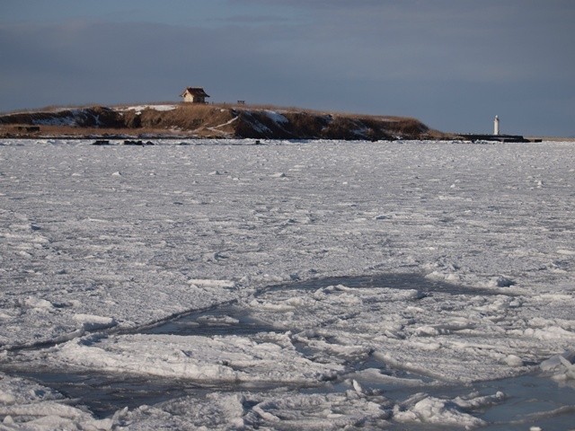 P2131457