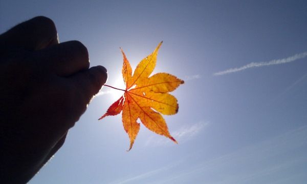 IMAG1605