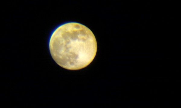 IMAG1154