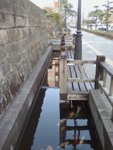 7f00782d.JPG