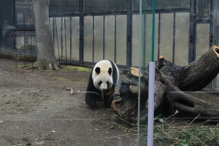 IMG_7173