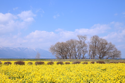 6080f077.jpg