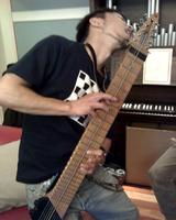 チャップマンスティック チャップマン・スティック／私家版楽器事典