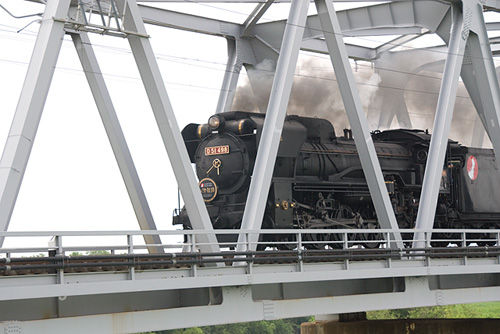 D51