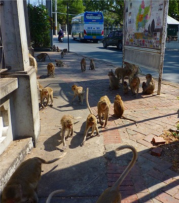 s-コピー ~ タイ遺跡旅行(2)120