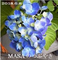 s-2018-06-08_144444