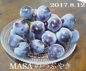 s-2017-08-16_114750