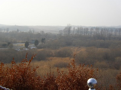 63f50b80.jpg