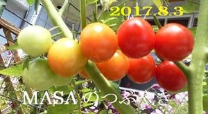 s-2017-08-04_145939