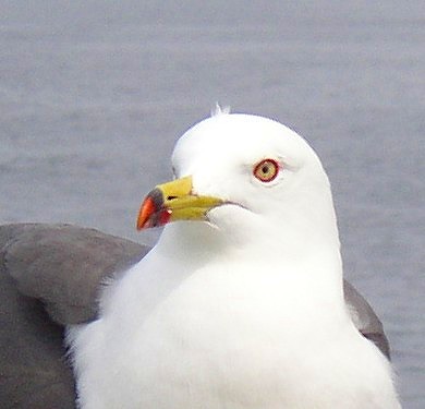 7c6e6b85.jpg