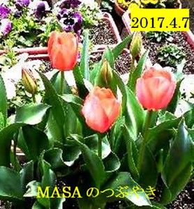 s-2017-04-07_165137