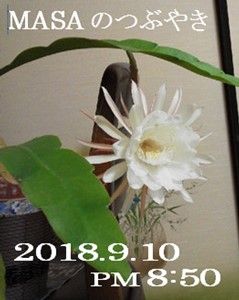s-2018-09-12_155204