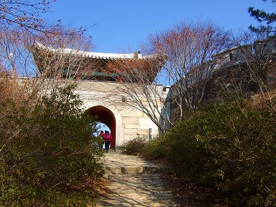 88d72a40.jpg
