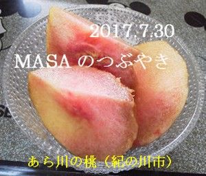 s-2017-08-01_092428