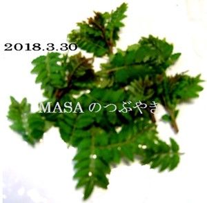s-2018-03-31_143646