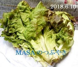 s-2018-06-11_170505