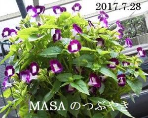 s-2017-07-30_120545