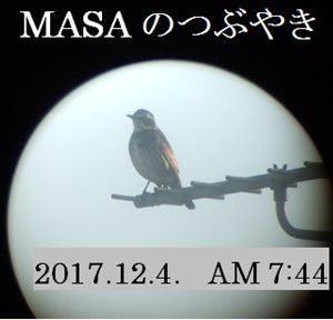 s-2017-12-07_123213