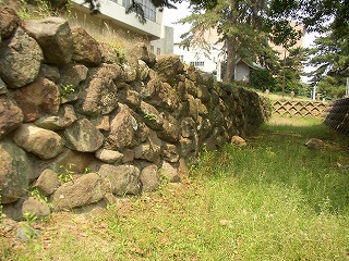 caaa3672.jpg