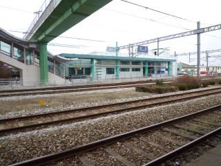 pict-P1050004