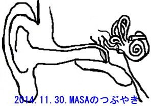 s-三半規管ほか