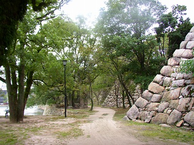 e5529816.jpg