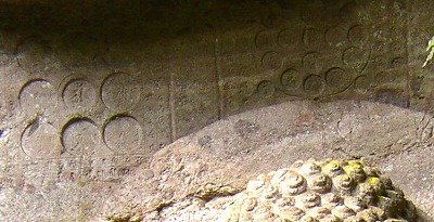 e69dd391.jpg