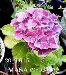 s-2018-06-20_071614