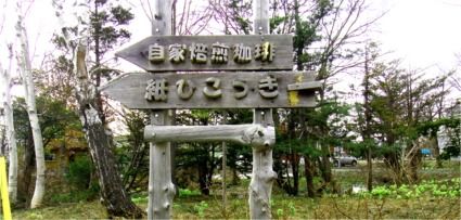 紙飛行機看板
