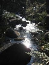 北の丸公園1