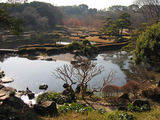二の丸庭園5