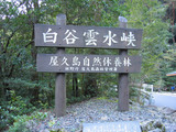 白谷雲水峡1