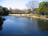北の丸公園2