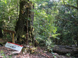 水鳥沢