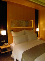 Le Royal Meridien £³