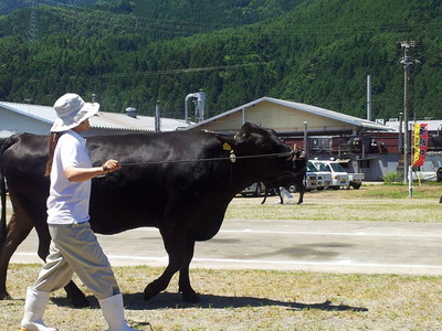 若い女性が