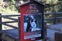 赤と黒看板