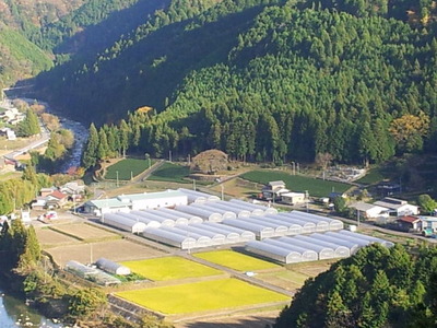 白川
