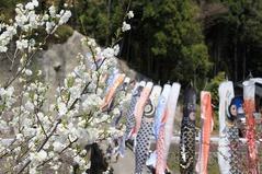 月川温泉２
