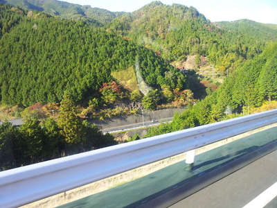東白川