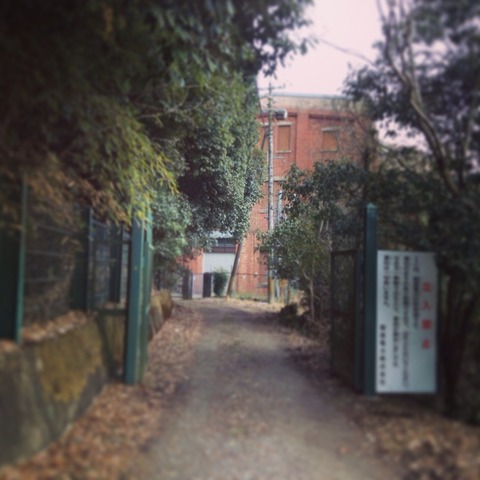 画像6