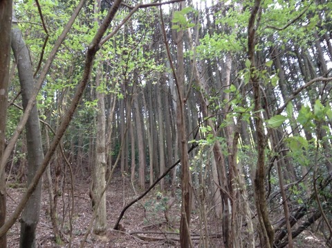 画像3