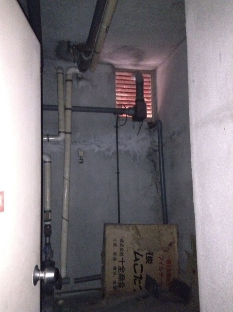 画像19