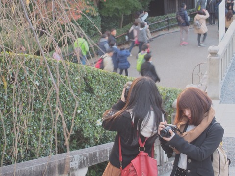 2014-11-15-16-22-23